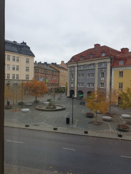 20201025_094856.jpg 20201025_094856.jpg