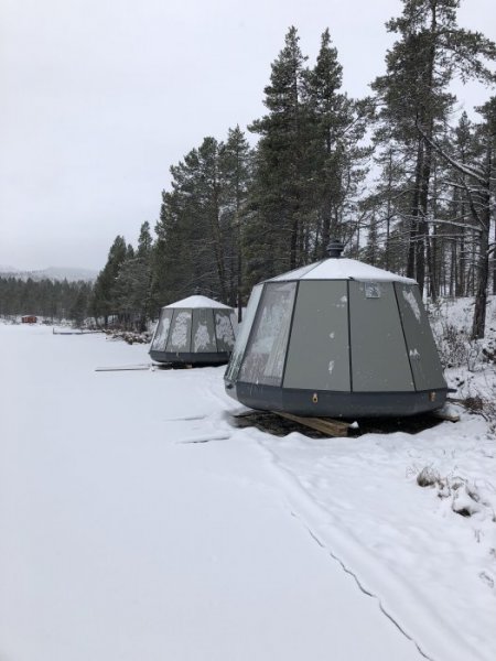 E3EC331A-FF91-4D5A-B1A0-347391A879F6.jpeg E3EC331A-FF91-4D5A-B1A0-347391A879F6.jpeg