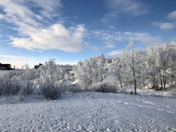 CB404803-BAAD-42C3-8FF4-207B7CA4D030.jpeg CB404803-BAAD-42C3-8FF4-207B7CA4D030.jpeg