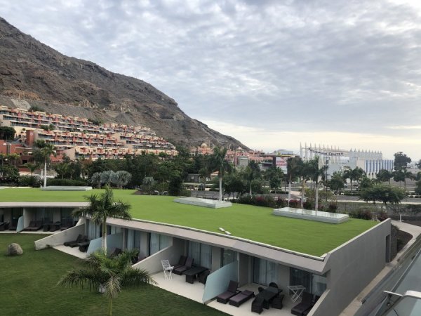 CBC6A8B2-0181-4561-9E68-98E556DE7862.jpeg CBC6A8B2-0181-4561-9E68-98E556DE7862.jpeg