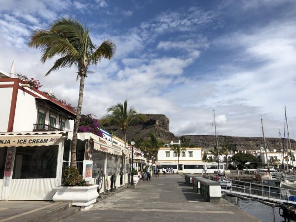 C30910C4-FD32-4547-8632-054F81795A24.jpeg C30910C4-FD32-4547-8632-054F81795A24.jpeg