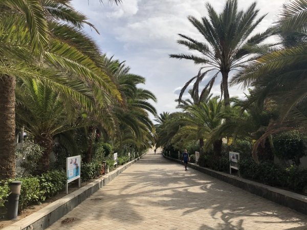 25D6253F-EC84-4B86-9CB3-4320771F1B3E.jpeg 25D6253F-EC84-4B86-9CB3-4320771F1B3E.jpeg