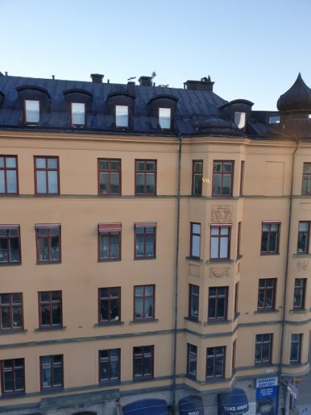 20201122_084538.jpg 20201122_084538.jpg