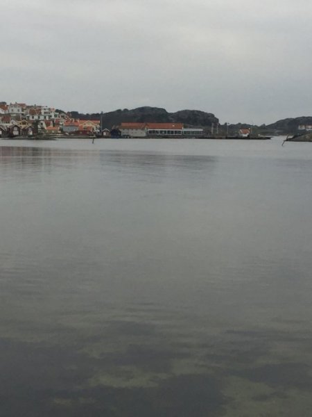 IMG_3996.jpg IMG_3996.jpg