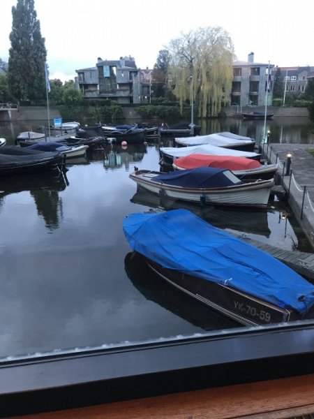 AA4CF958-959C-485C-805E-6C41D5D645D7.jpeg AA4CF958-959C-485C-805E-6C41D5D645D7.jpeg