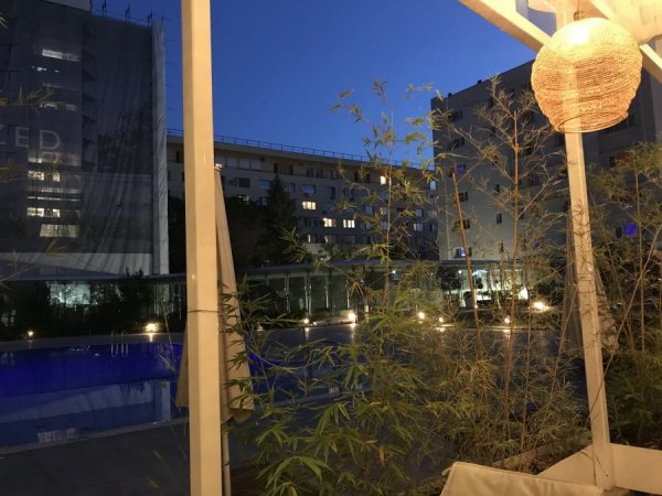 A51A98EF-EC62-41C1-98A5-6F8CE6A38633.jpeg A51A98EF-EC62-41C1-98A5-6F8CE6A38633.jpeg