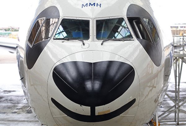 BA PANDA PLANE 3.jpg BA PANDA PLANE 3.jpg