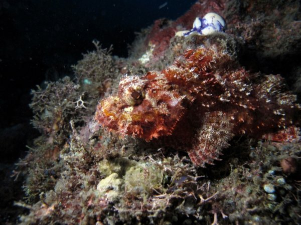 IMG_3881fixad (1024x768).jpg