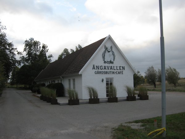 Ängavalllen 2013 009.jpg