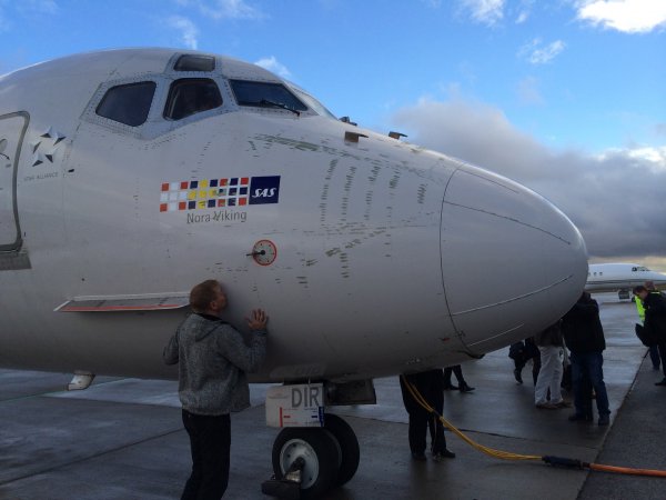 IMG_5228.jpg IMG_5228.jpg