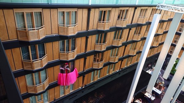 DSC_3814.JPG DSC_3814.JPG