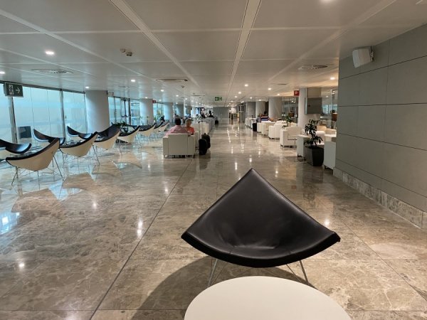 6911C0D6-6080-4893-8390-505D8F585548.jpeg 6911C0D6-6080-4893-8390-505D8F585548.jpeg