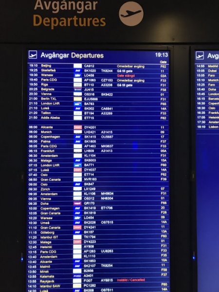 057203C5-7F1E-445E-BE88-8D7AC515702C.jpeg 057203C5-7F1E-445E-BE88-8D7AC515702C.jpeg