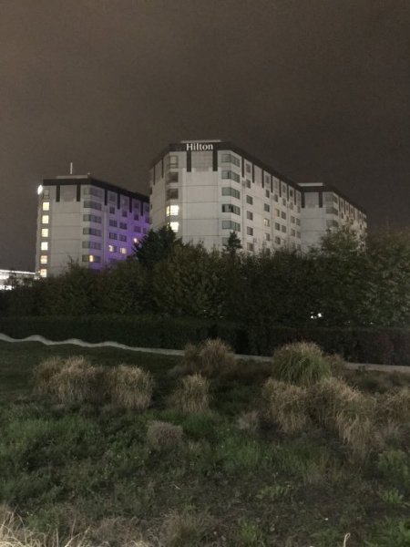 92B985E3-8590-4460-B913-B67756F37D9A.jpeg 92B985E3-8590-4460-B913-B67756F37D9A.jpeg