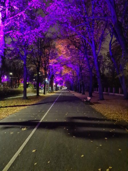 20211019_194940.jpg 20211019_194940.jpg