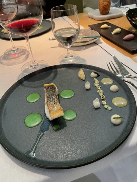 51EB8884-6184-4F32-8186-992BA1545EC4.jpeg 51EB8884-6184-4F32-8186-992BA1545EC4.jpeg