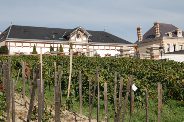 Skärmavbild 2022-05-28 kl. 16.04.11.png