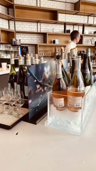 IMG_9753.JPEG IMG_9753.JPEG