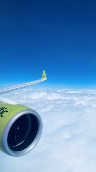 IMG_9828.JPEG IMG_9828.JPEG