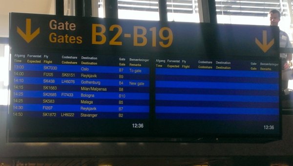 md80_17_s.jpg md80_17_s.jpg