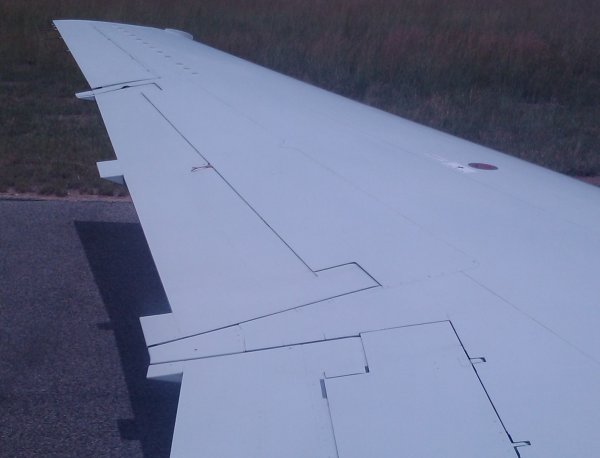 Birdleg.jpg Birdleg.jpg