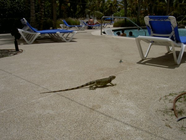 PICT1120.jpg PICT1120.jpg