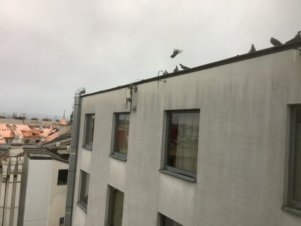 A2B37308-38DD-437F-856E-2E2B3D61E35D.jpeg A2B37308-38DD-437F-856E-2E2B3D61E35D.jpeg