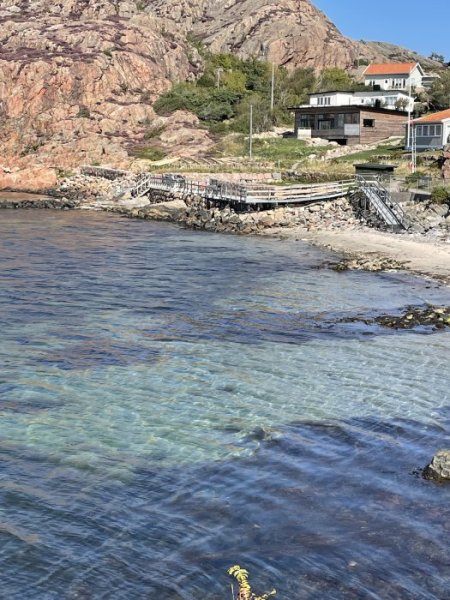 874A08AF-4743-4E55-B41B-9E74A382E4C9.jpeg 874A08AF-4743-4E55-B41B-9E74A382E4C9.jpeg