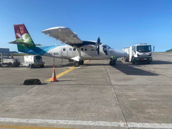 301412096_1252892842135576_6839538012378274066_n.jpg 301412096_1252892842135576_6839538012378274066_n.jpg