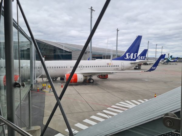 20220909_140359.jpg 20220909_140359.jpg