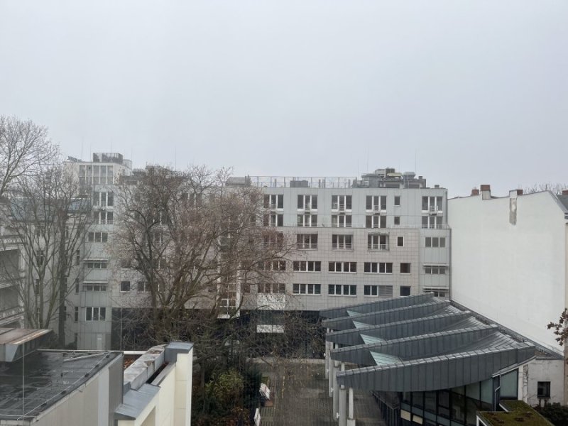 5C95664C-AF1F-4043-AE08-7887147BD720.jpeg 5C95664C-AF1F-4043-AE08-7887147BD720.jpeg