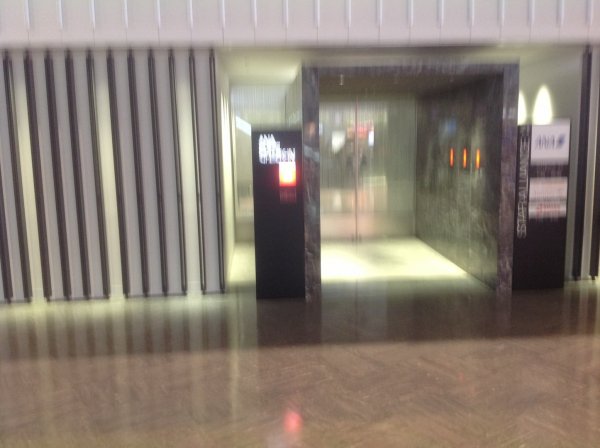 ANA First Class Check-in.jpg