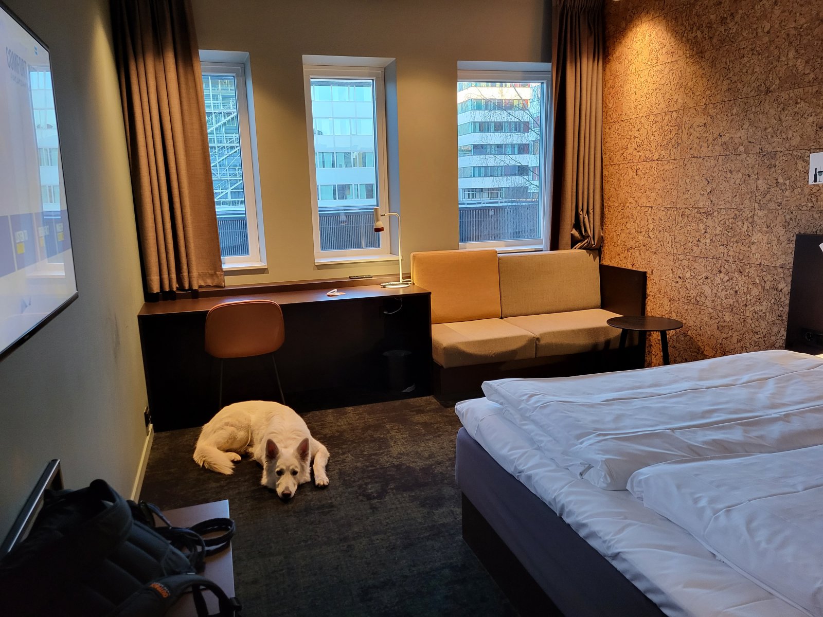 20230401_191242.jpg 20230401_191242.jpg