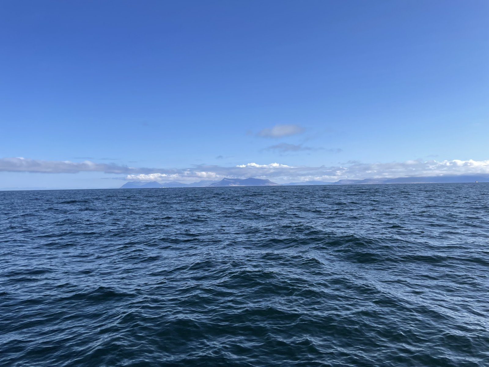 IMG_0466.jpeg IMG_0466.jpeg