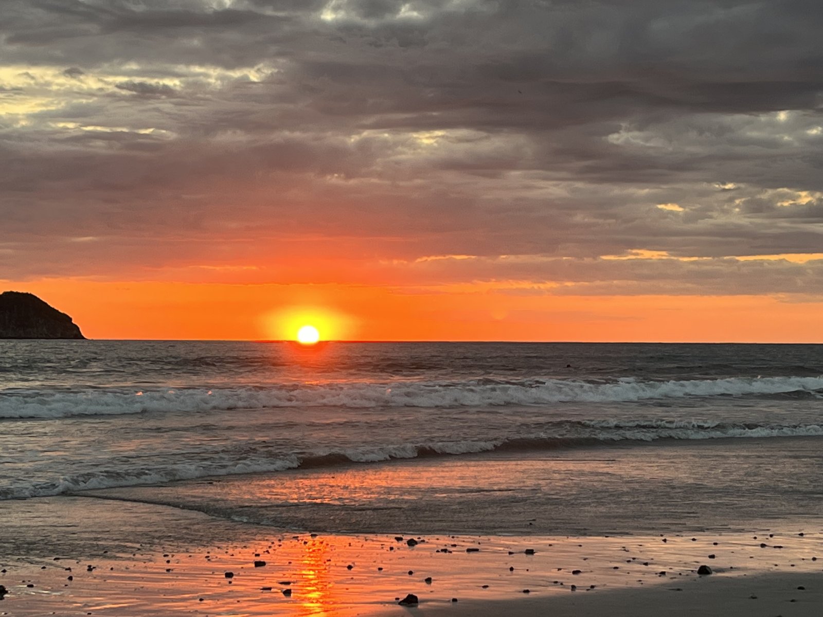 IMG_0366.jpeg IMG_0366.jpeg