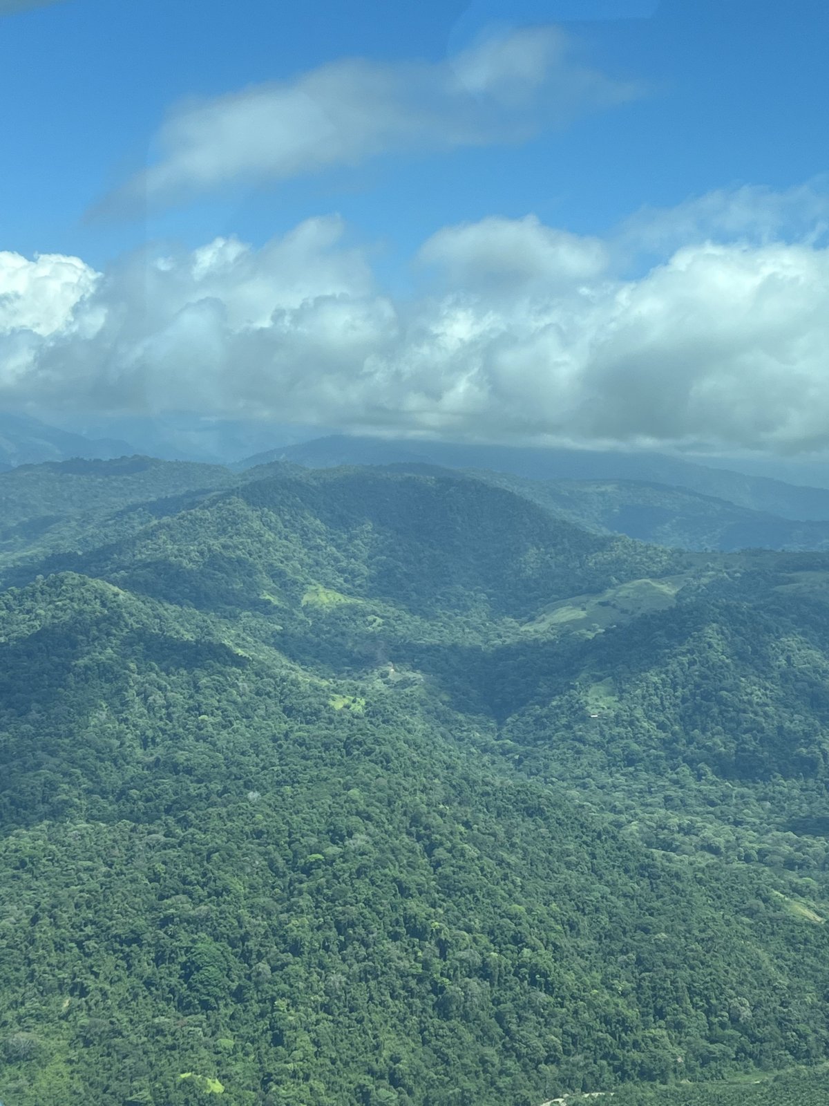 IMG_0396.jpeg IMG_0396.jpeg