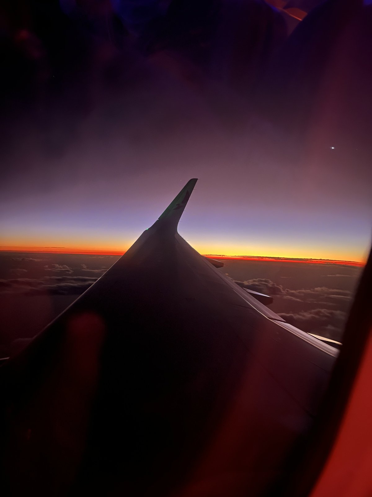 IMG_0415.jpeg IMG_0415.jpeg