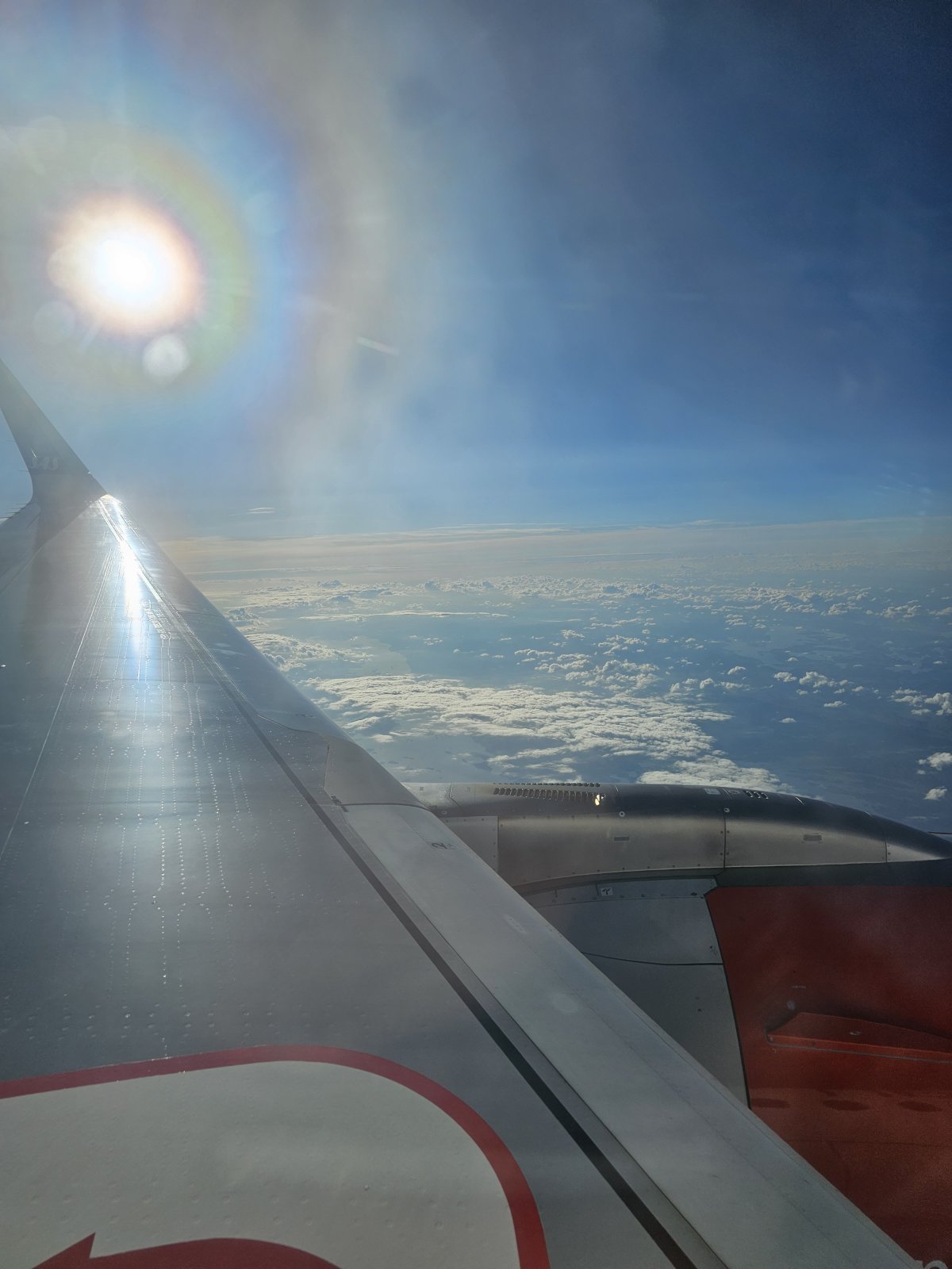 20230813_182911.jpg 20230813_182911.jpg