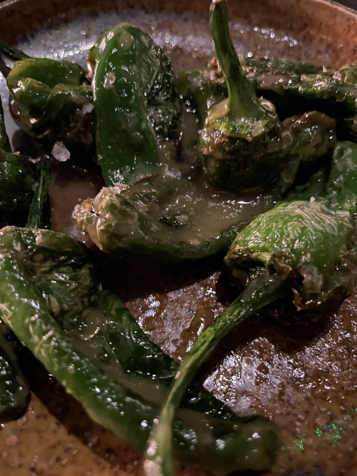 IMG_0407.jpeg IMG_0407.jpeg