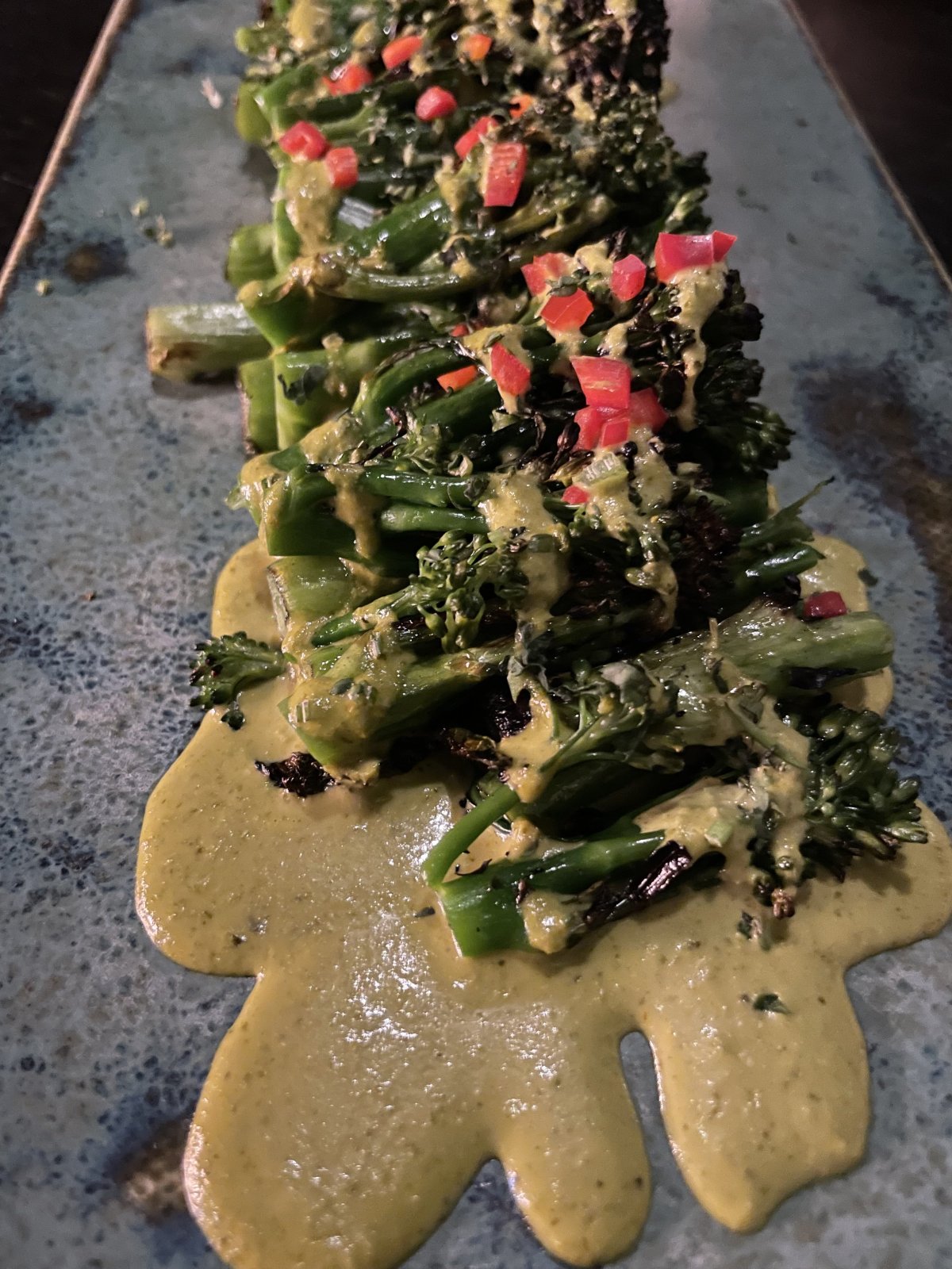 IMG_0413.jpeg IMG_0413.jpeg