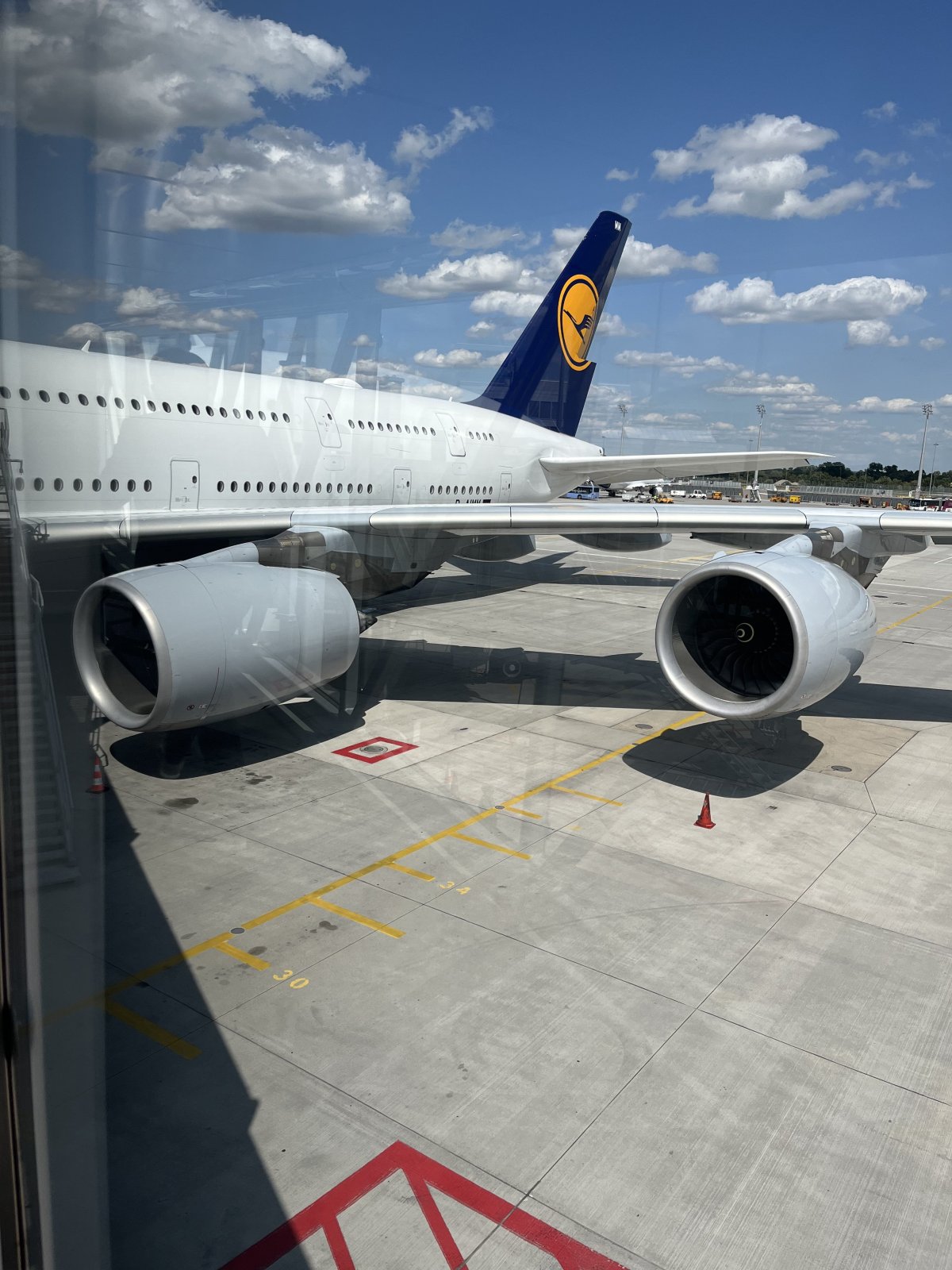 IMG_1164.jpeg IMG_1164.jpeg