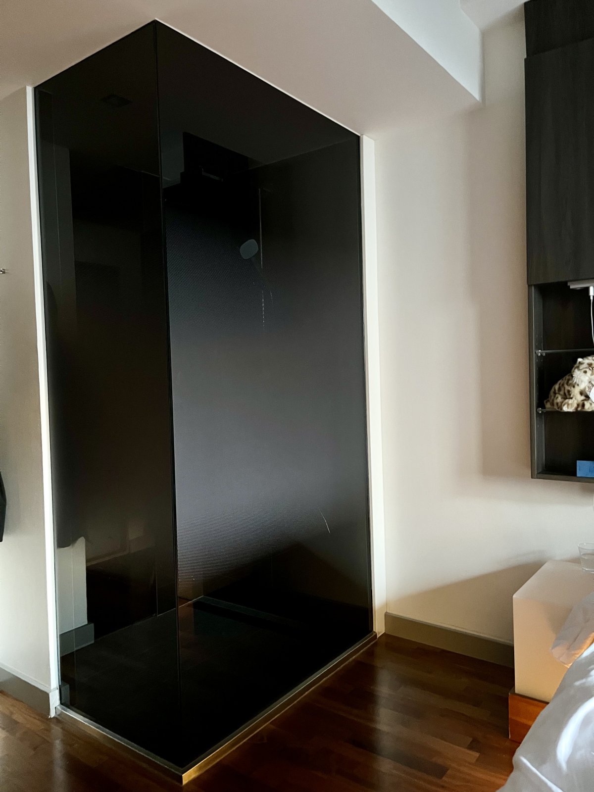 IMG_3541.jpeg IMG_3541.jpeg