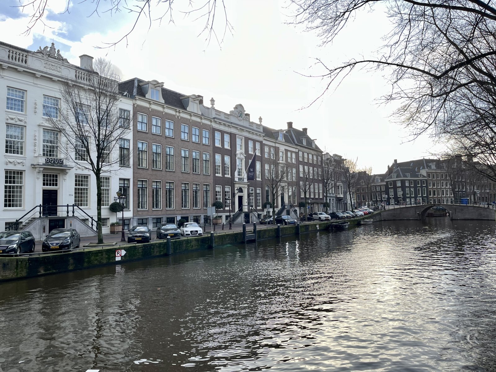 IMG_3703.jpeg IMG_3703.jpeg