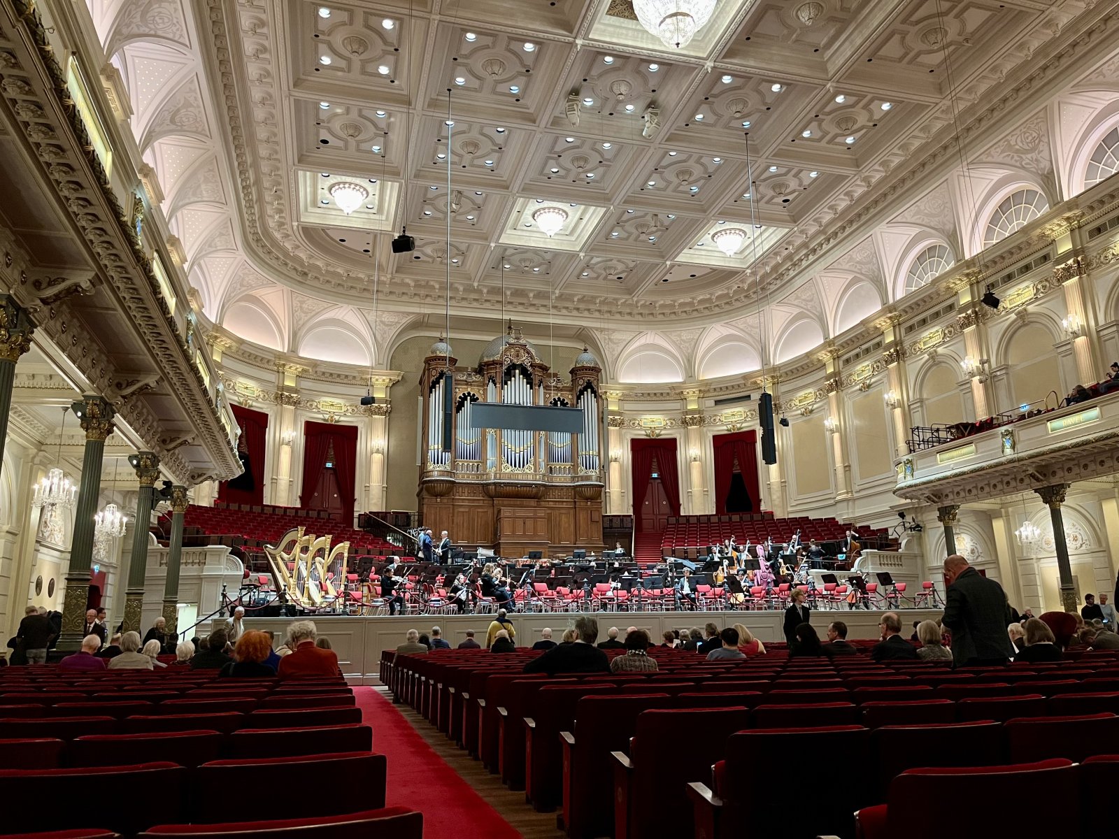 IMG_3713.jpeg IMG_3713.jpeg