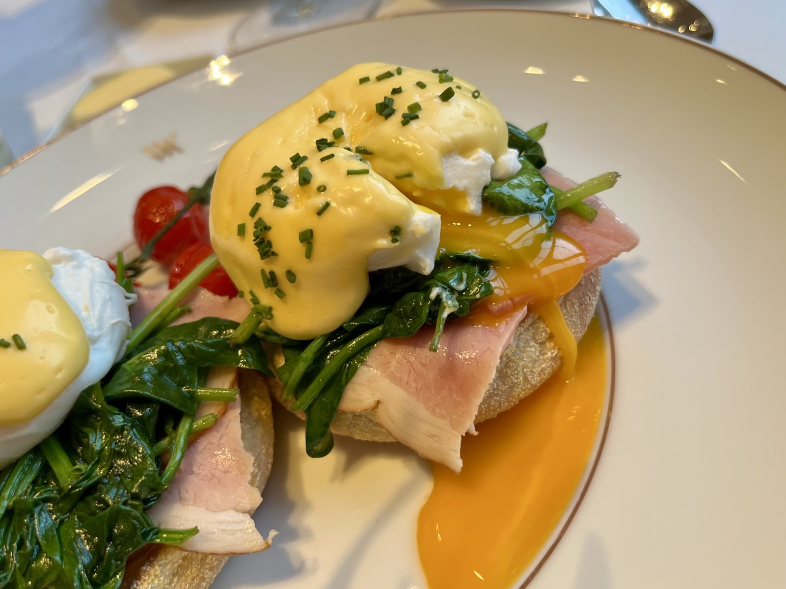 IMG_3732.jpeg IMG_3732.jpeg