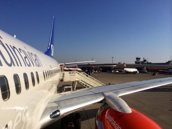 IMG_0290.jpg IMG_0290.jpg