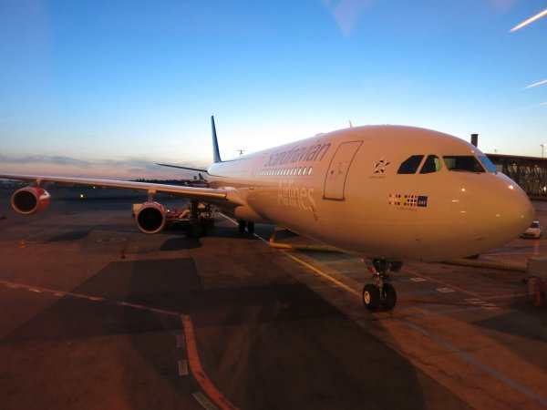 SAS Business CPH-PEK Airbus A340 LAN, 02.jpg
