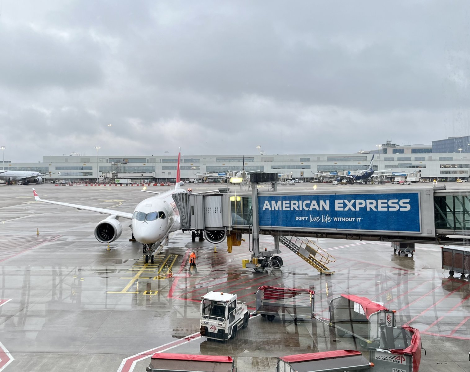 IMG_3795.jpeg IMG_3795.jpeg