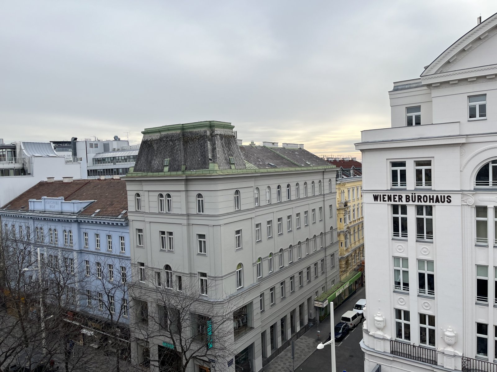 IMG_3845.jpeg IMG_3845.jpeg