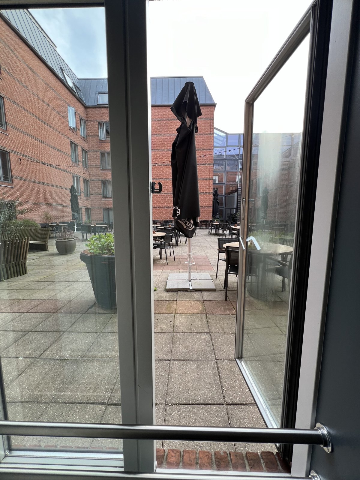 IMG_3828.jpeg IMG_3828.jpeg